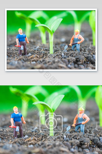春耕种植小人摄影图图片