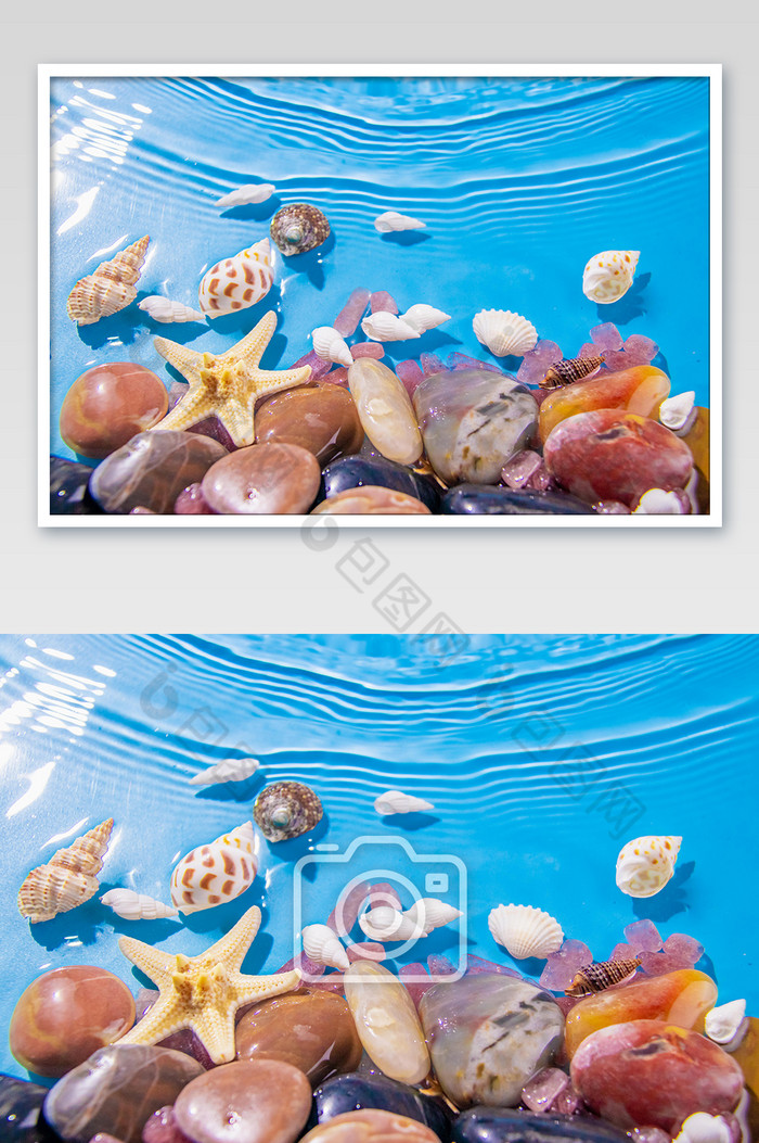 海面上的海螺贝壳图片图片