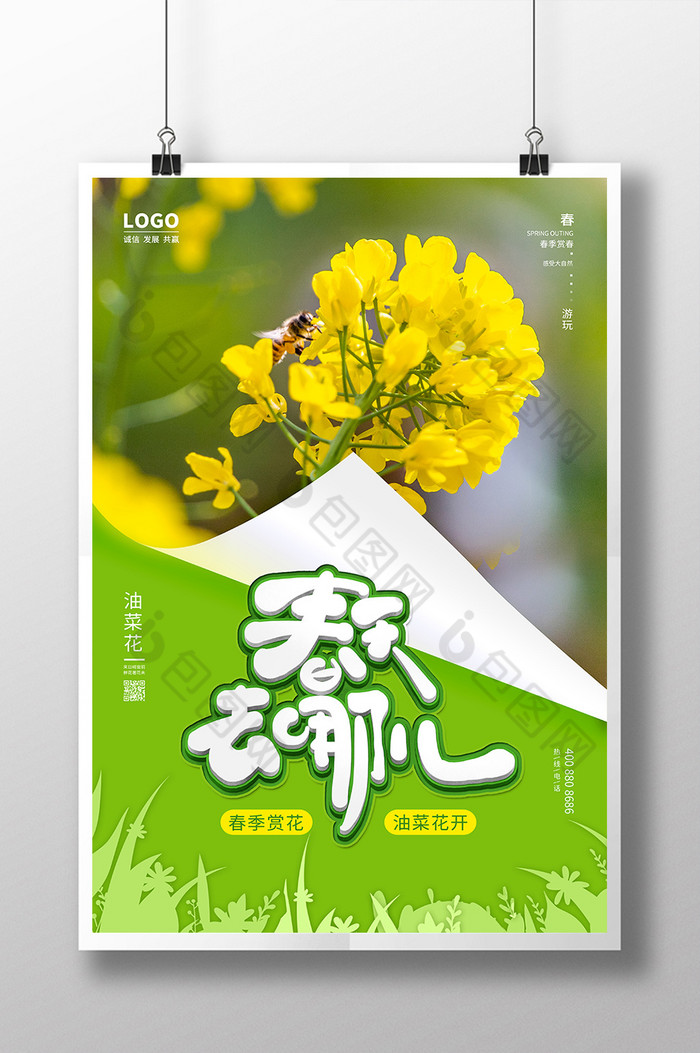 黄春季油菜花图片图片