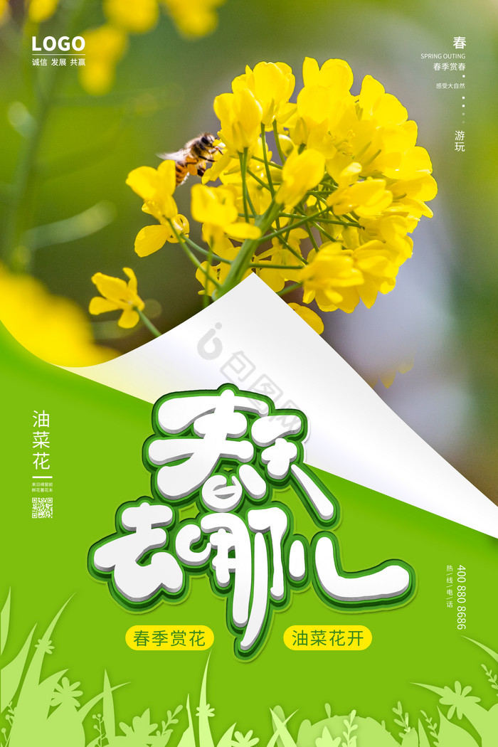 黄春季油菜花图片