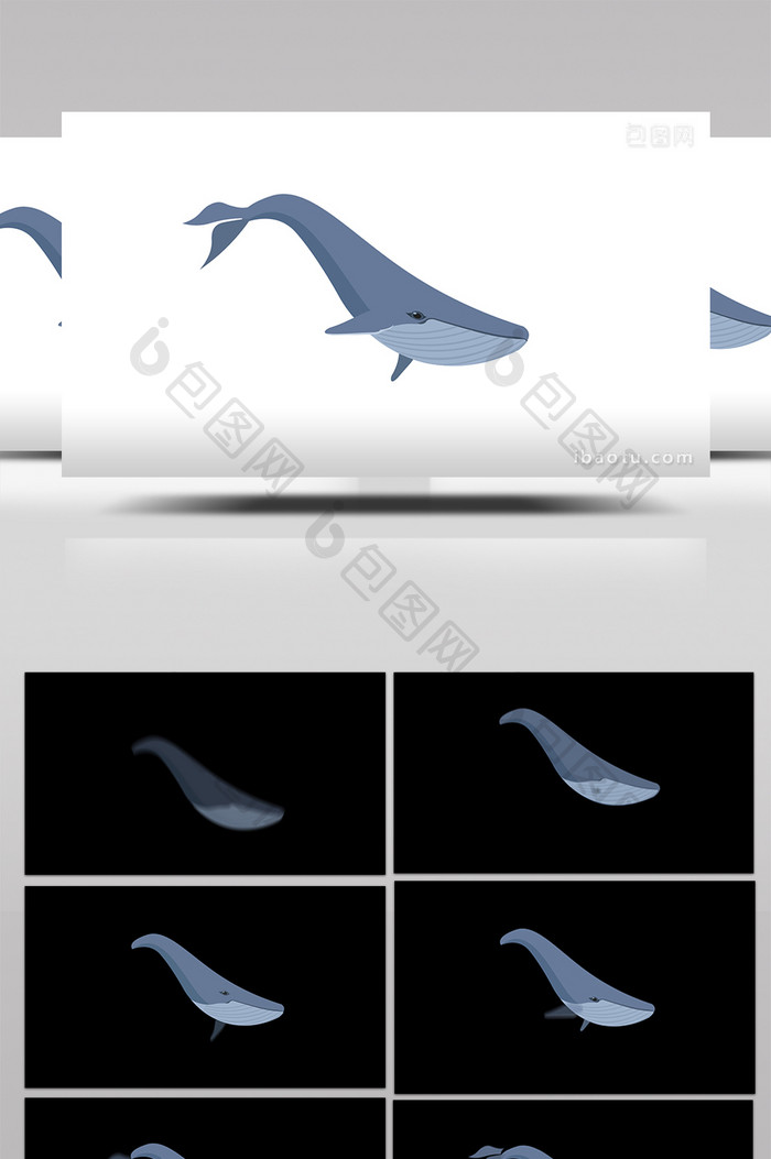 简约扁平画风自然哺乳动物类鲸mg动画