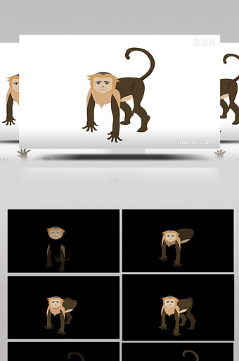 简约扁平画风哺乳动物类卷尾猴mg动画图片