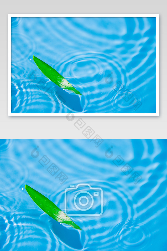 海面漂浮的叶子摄影图图片图片
