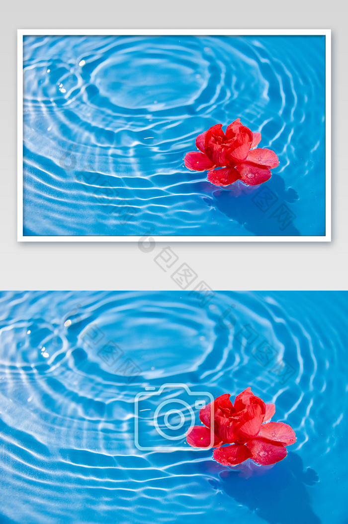 水中漂浮的红色花朵图片图片