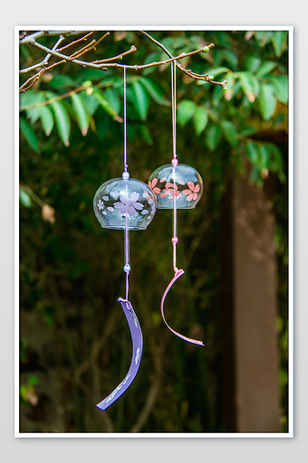 81m,素材类型为无,浏览本次作品的用户还可能对悬挂的风铃,树枝,挂饰