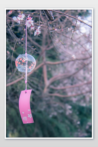 340_512竖版 竖屏