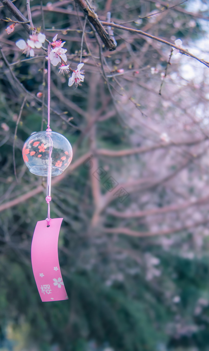 花枝悬挂的樱花风铃图片