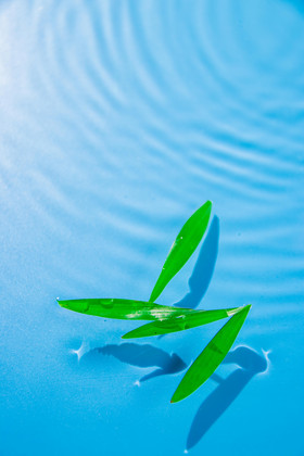 树叶漂浮图片_树叶漂浮图片大全