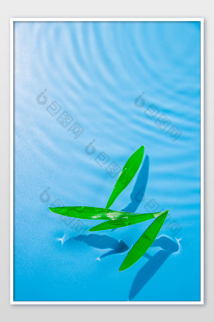 海面上漂浮的绿叶叶子图片图片