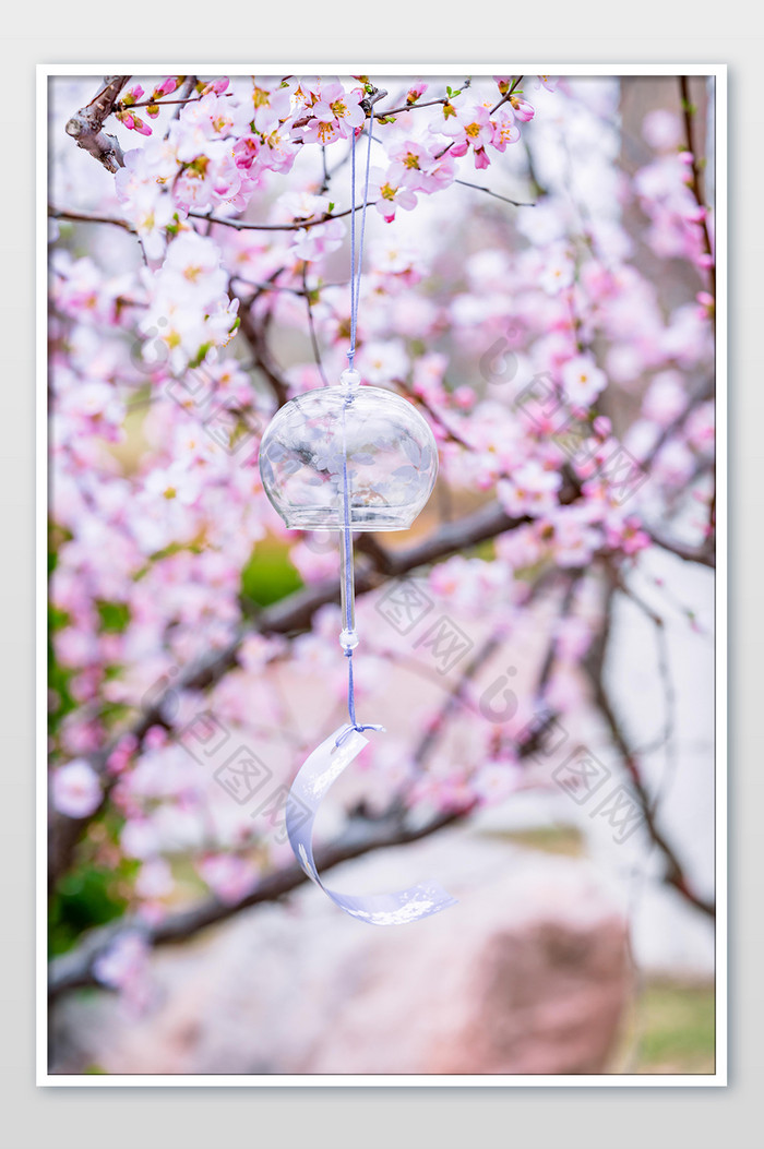 桃花花枝悬挂的风铃图片图片