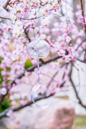 桃花花枝悬挂的风铃