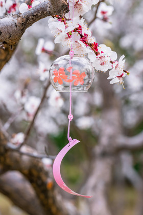 桃花树枝悬挂玻璃风铃