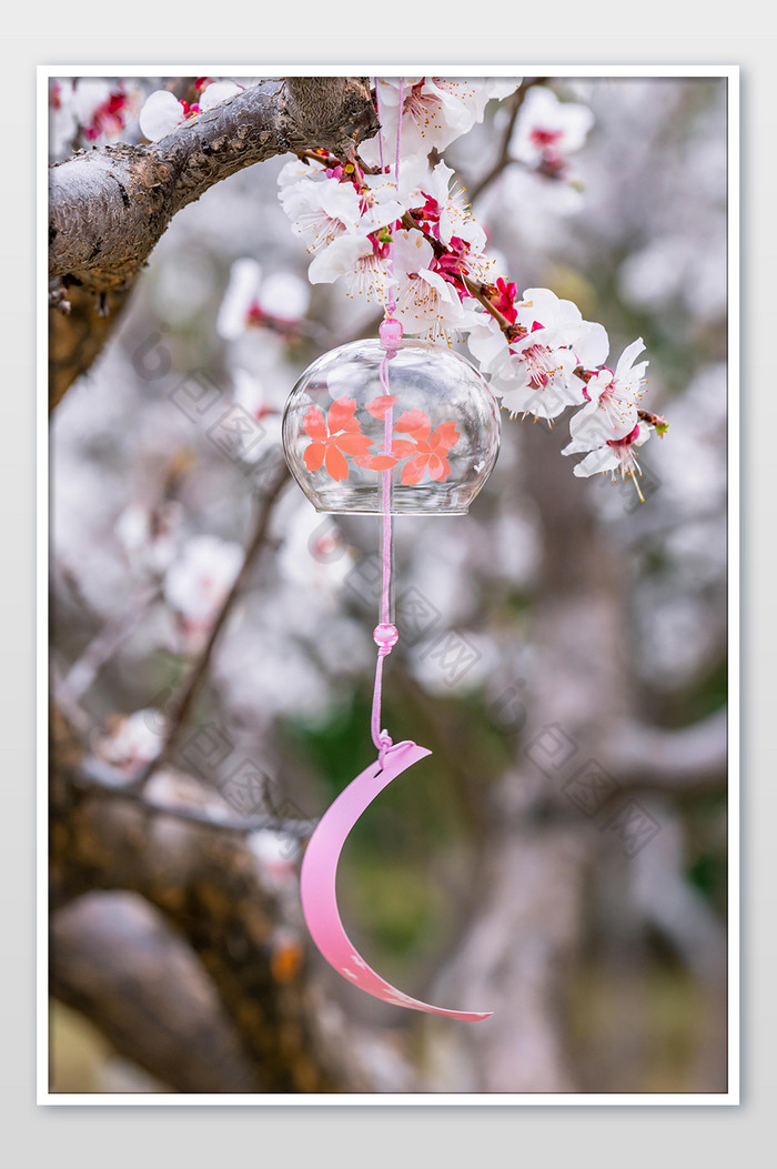桃花树枝悬挂玻璃风铃图片图片