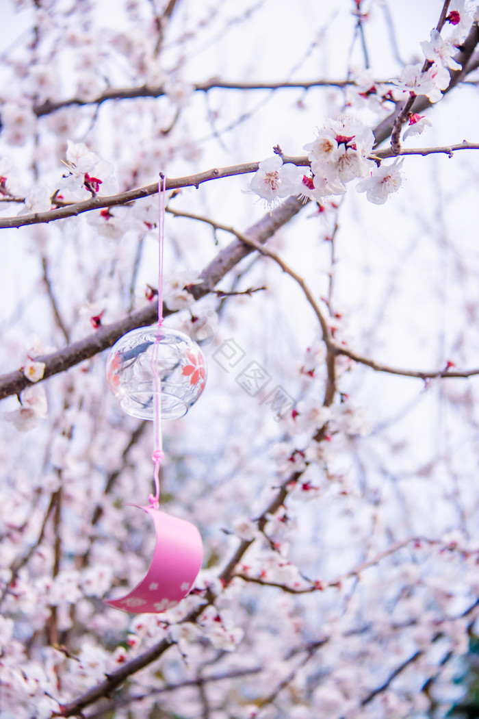 桃花树枝悬挂的风铃摄影图图片