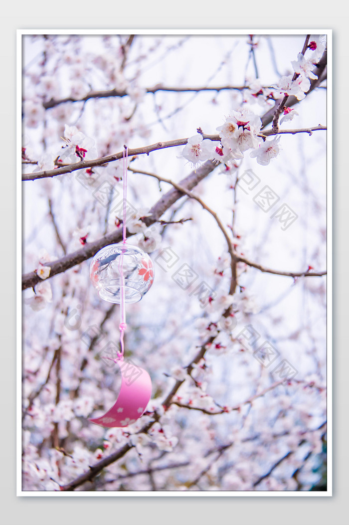 桃花树枝悬挂的风铃摄影图