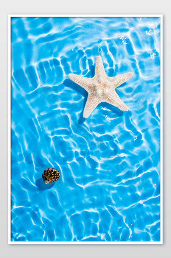 夏日度假海面海星图片