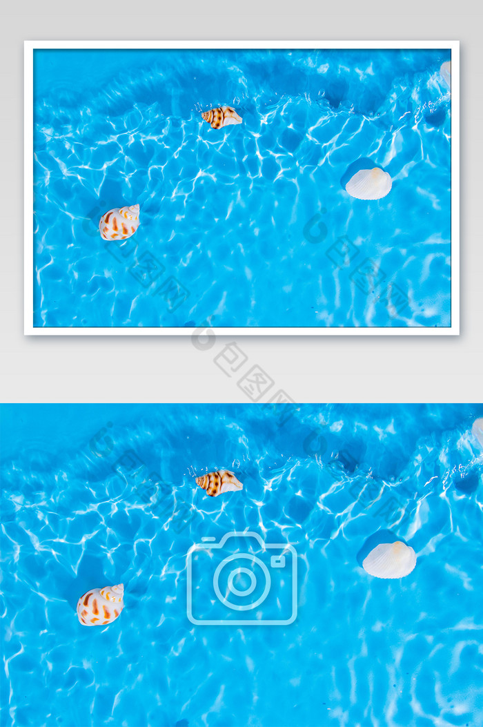 夏日度假贝壳和海螺图片图片