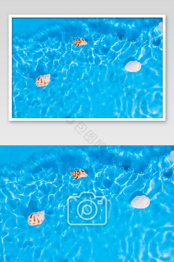 夏日度假贝壳和海螺图片
