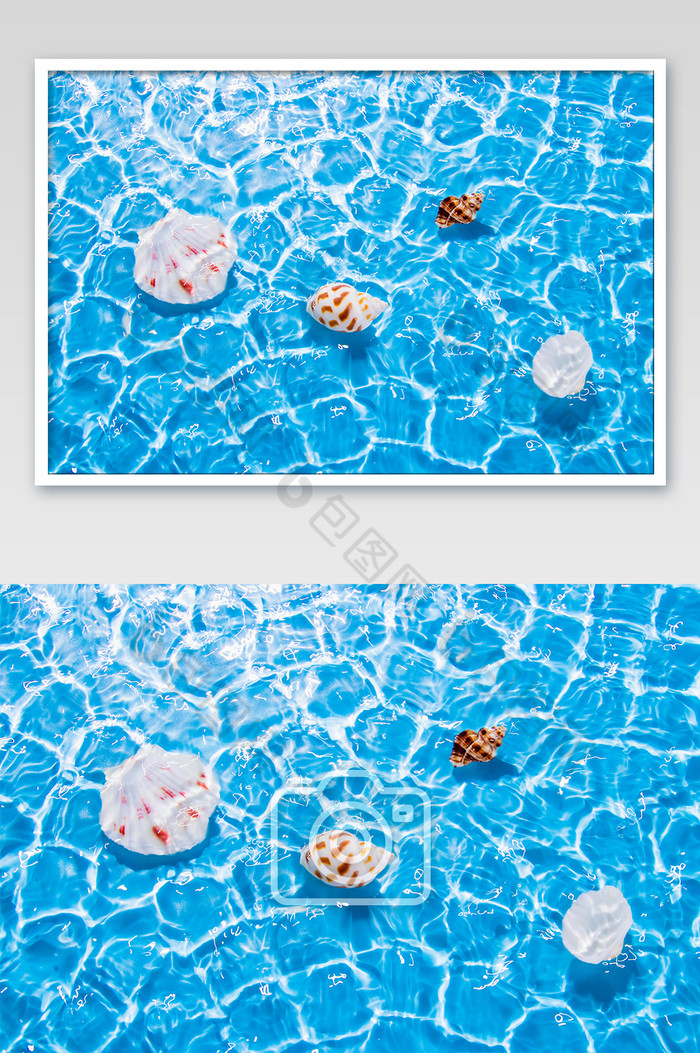 夏日度假海面贝壳图片图片