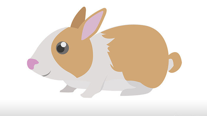 简约扁平画风哺乳动物类兔子mg动画