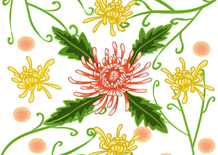 菊花花纹底纹图片