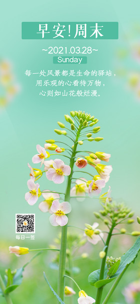 春天油菜花心情文案图片