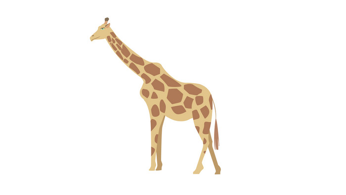 简约扁平画风哺乳动物类长颈鹿mg动画