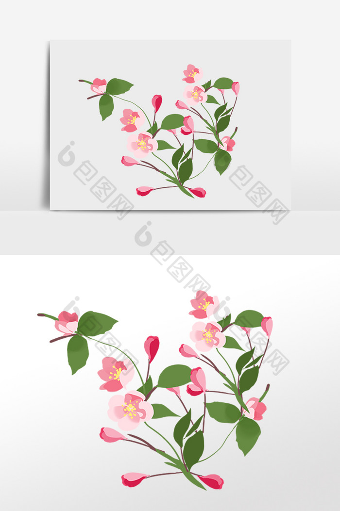 春天海棠花花朵花蕊图片