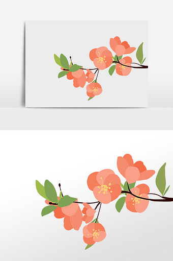 春天植物海棠花花朵