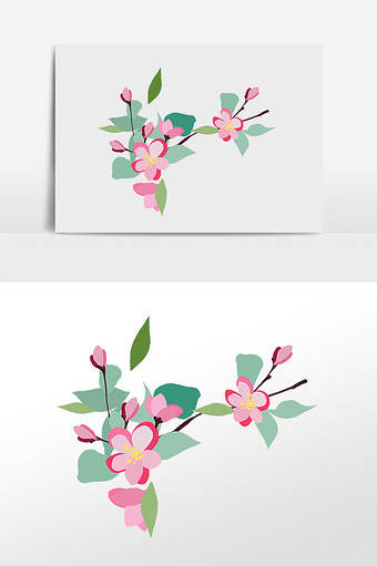 春天植物海棠花花枝