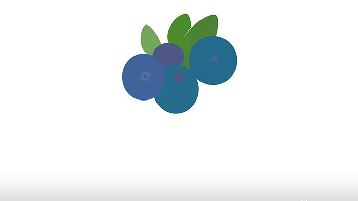 简单扁平画风食物类水果蓝莓mg动画