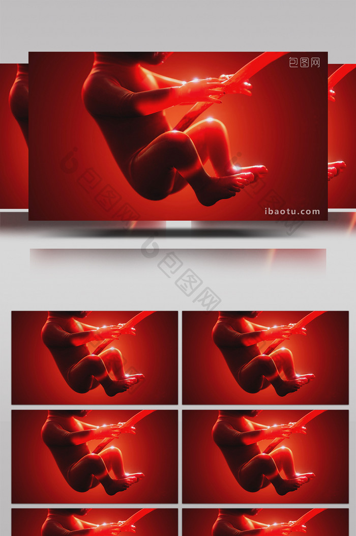 4K胎儿三维模型高清背景视频