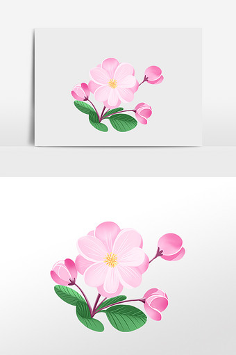 春天海棠花花朵花开