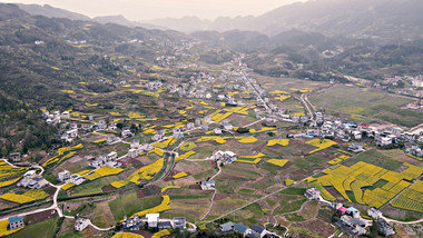 大气农村农业种植航拍行业视频片头片尾