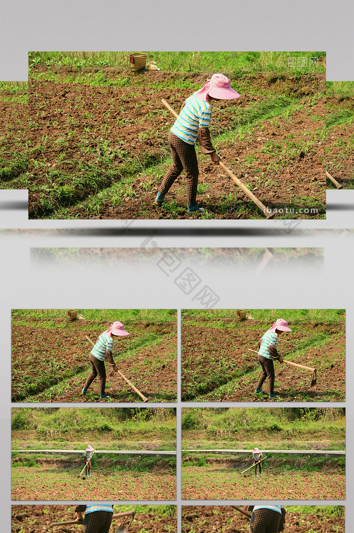 4k烈日下农民种地除草辛勤劳作实拍