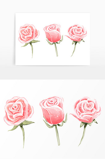 手绘水彩玫瑰花玫瑰情人节