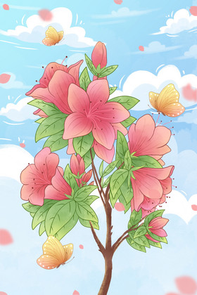 杜鹃花插画