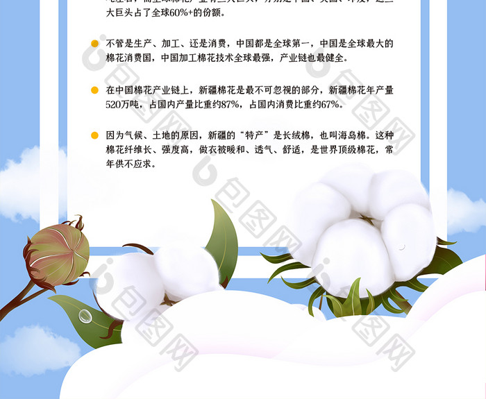 小清新新疆棉花科普海报