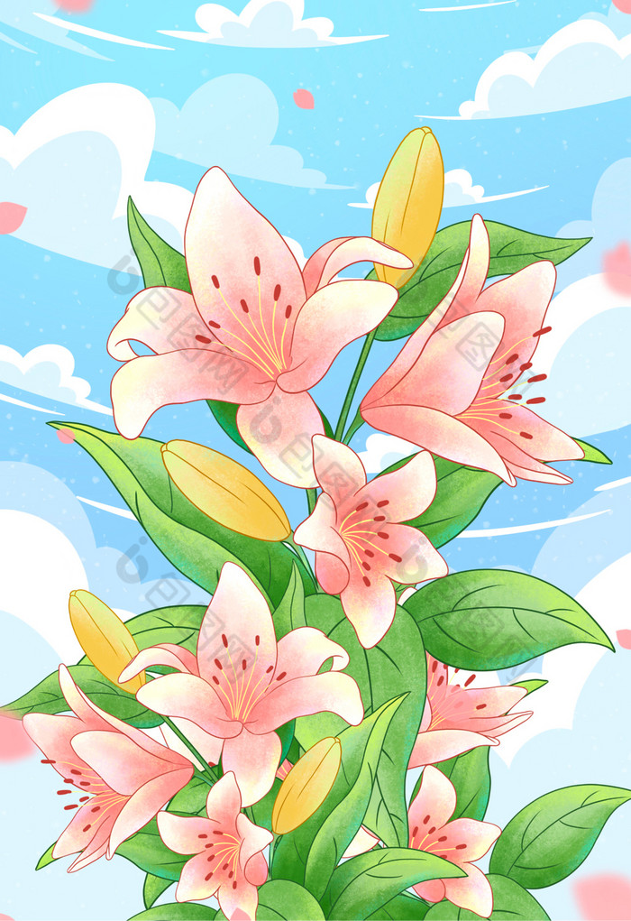 妙笔生花百合花插画