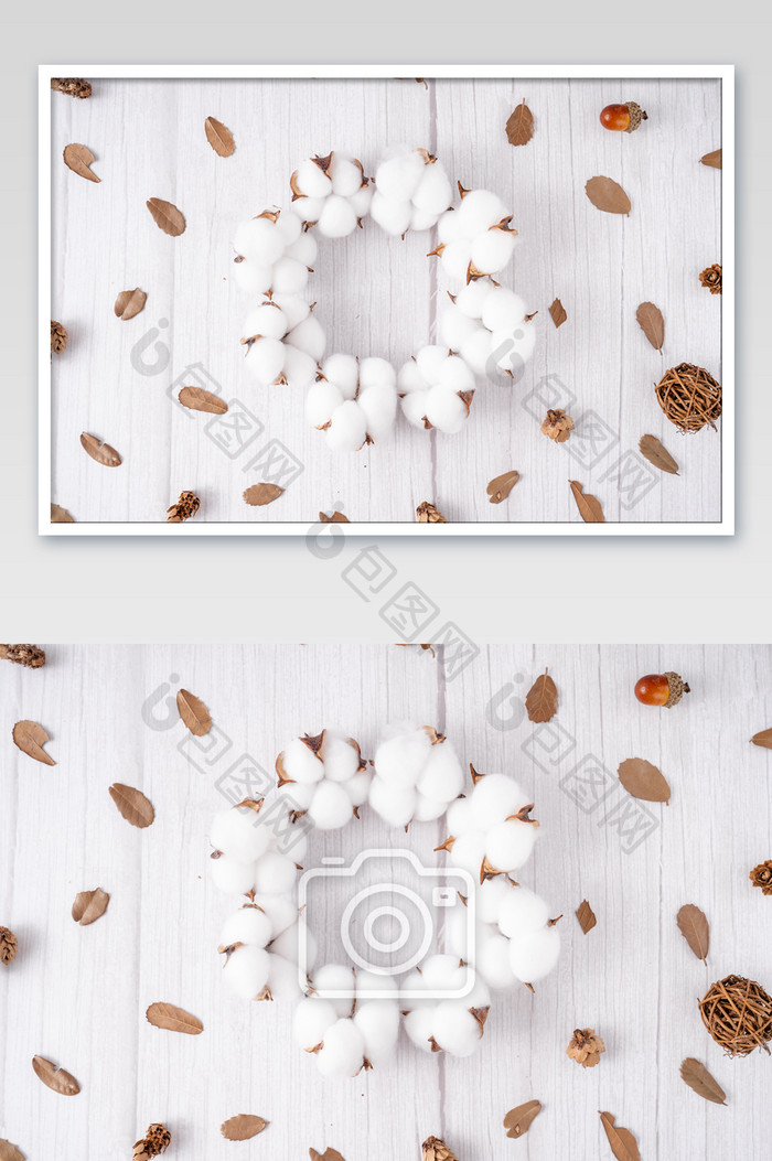 新疆棉花纺织原料纯棉摄影图