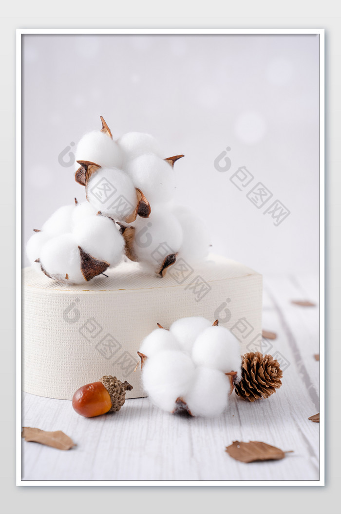 新疆棉花纯棉纺织原料摄影图图片图片