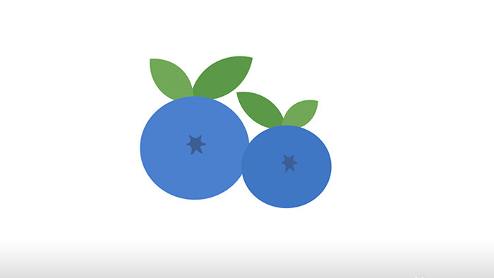 简单扁平画风食物类水果类蓝莓mg动画