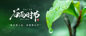 绿色清新大气24节气谷雨公众号首图