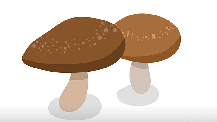 简单扁平画风食物类果蔬类蘑菇mg动画