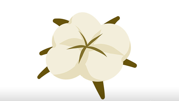简单扁平画风植物类自然棉花mg动画