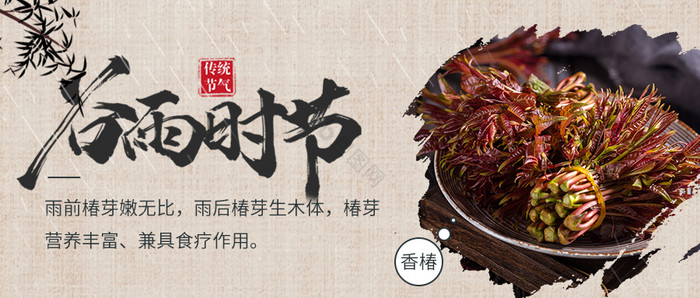 中国风谷雨时节吃香椿节气美食宣传微信配图图片