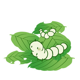 桑蚕图片