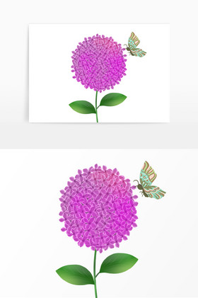 春天植物绣球花与蝴蝶图片