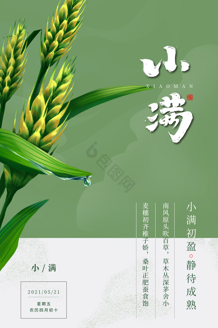 小满节气图片