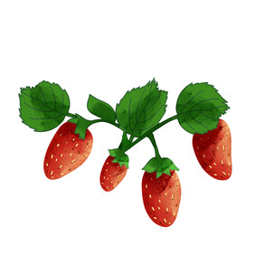 采摘园水果奶油草莓
